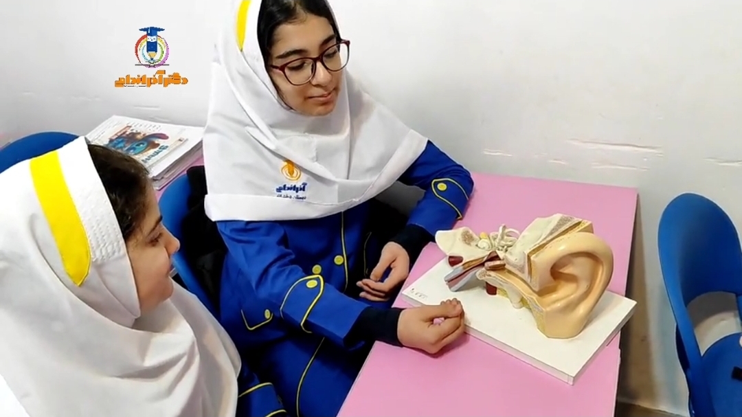 کنفرانس گروهی ساختمان گوش  پنجم نرگس