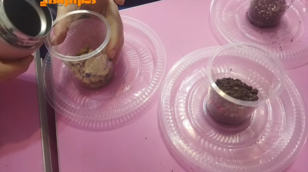 رویدادهای مدرسه دکتر آذراندامی